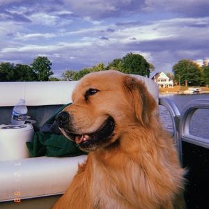 Meet your Posher, Maddie